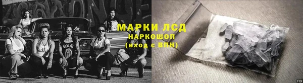 ПСИЛОЦИБИНОВЫЕ ГРИБЫ Алзамай