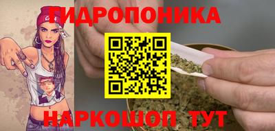 дживик Нальчик