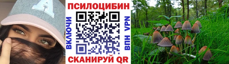 Псилоцибиновые грибы Magic Shrooms  ссылка на мегу сайт  Тосно  где купить наркотик 