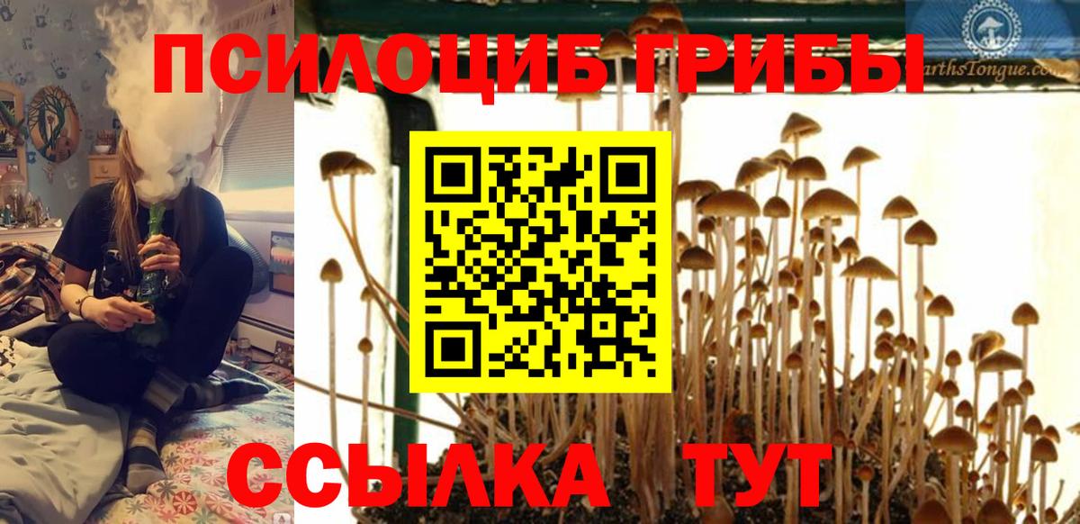 ЭКСТАЗИ Тосно