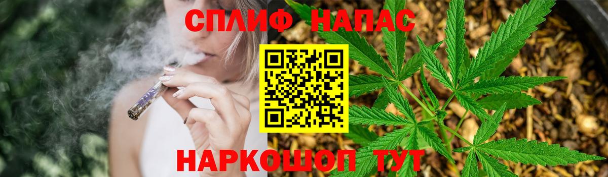 МАРИХУАНА план  Вход с VPN  Каннабис MAZAR  Тосно  Бошки марихуана Ganja 
